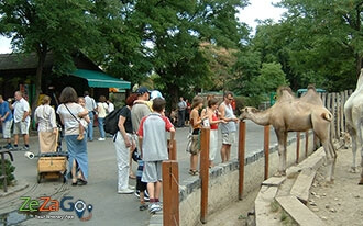 גן החיות בודפשט - Budapest Zoo